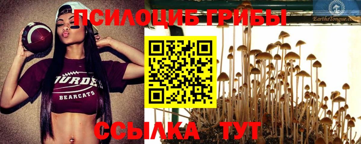 Великие Луки  Галлюциногенные грибы Psilocybine cubensis  Вход с VPN 